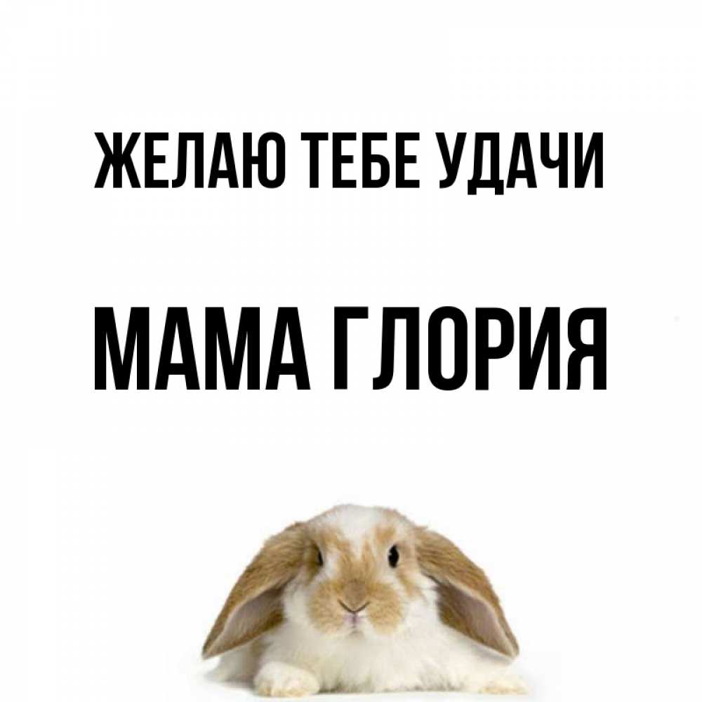 Открытка на каждый день с именем, Мама-Глория Желаю тебе удачи открытки с произвольным текстом который можно вставить в открытку и создать ее самостоятельно бесплатно онлайн Прикольная открытка с пожеланием онлайн скачать бесплатно 