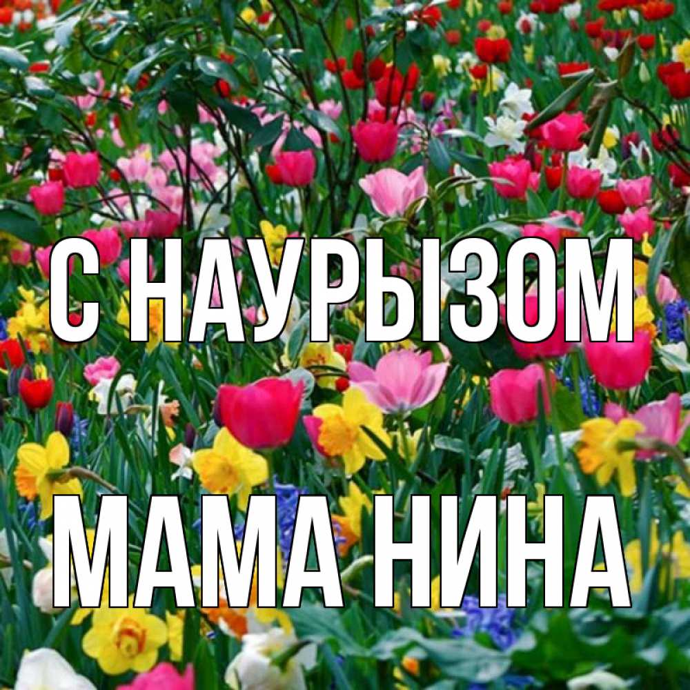 Открытка на каждый день с именем, Мама-Нина С наурызом с наурызом праздником весны поздравления для женщины Прикольная открытка с пожеланием онлайн скачать бесплатно 