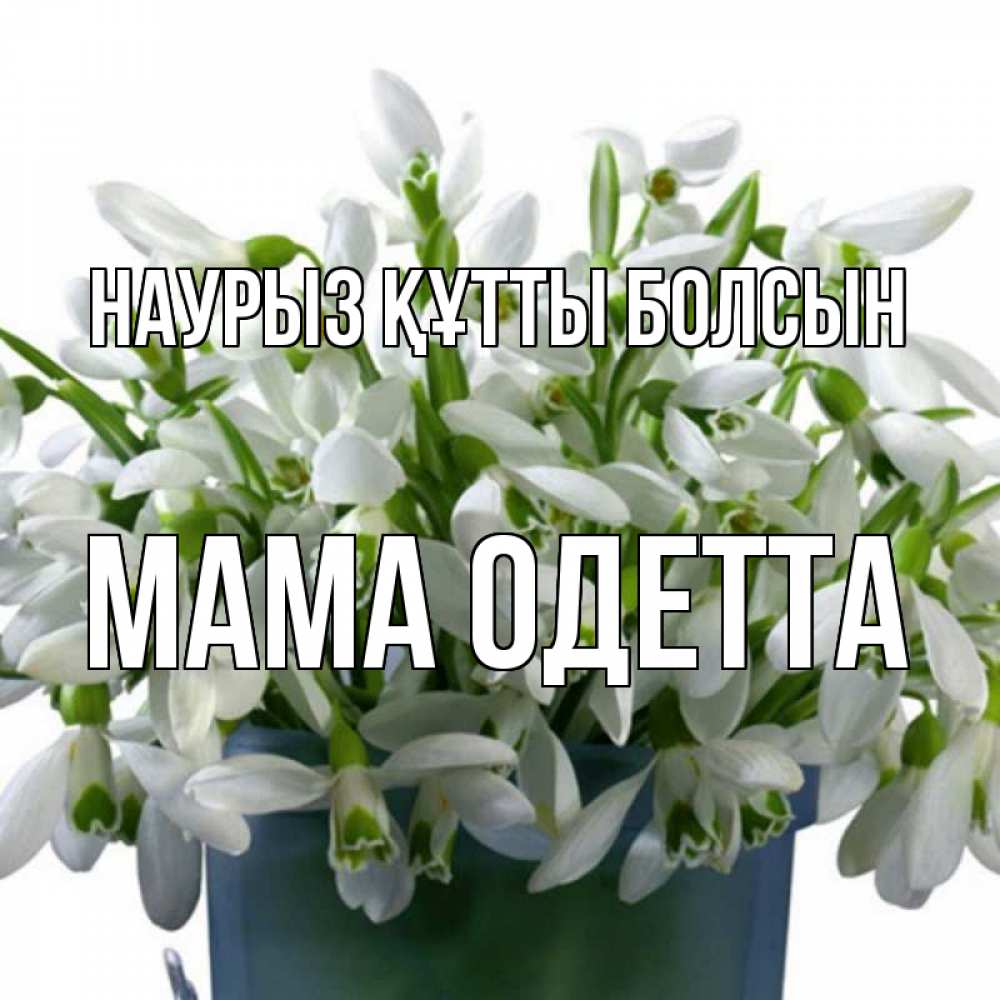 Открытка на каждый день с именем, Мама-Одетта Наурыз құтты болсын цветы к наурызу Прикольная открытка с пожеланием онлайн скачать бесплатно 