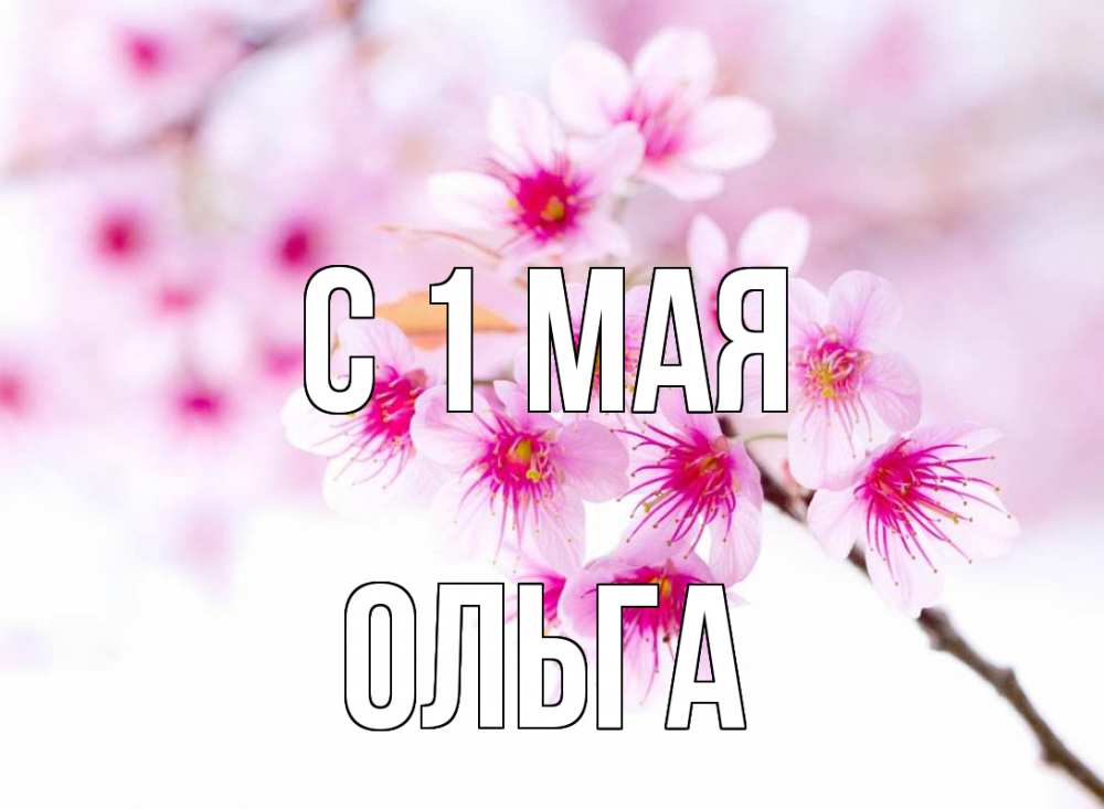Открытка на каждый день с именем, Ольга С 1 мая С 1 мая 2 Прикольная открытка с пожеланием онлайн скачать бесплатно 