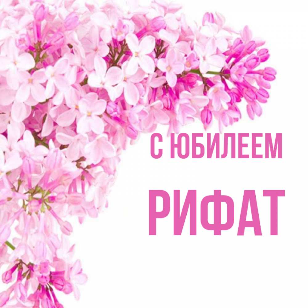 Открытка на каждый день с именем, Рифат С юбилеем Сирень на белом фоне Прикольная открытка с пожеланием онлайн скачать бесплатно 
