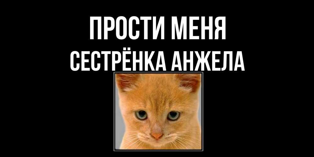 Открытка на каждый день с именем, Сестрёнка-Анжела Прости меня рыжий грустный кот просит прощения Прикольная открытка с пожеланием онлайн скачать бесплатно 