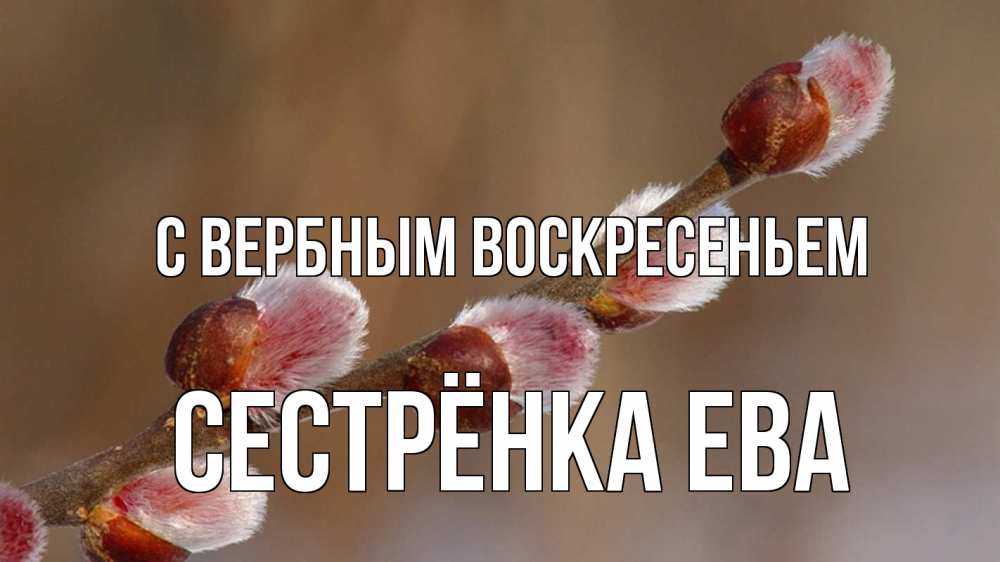 Открытка на каждый день с именем, Сестрёнка-Ева С вербным воскресеньем верба Прикольная открытка с пожеланием онлайн скачать бесплатно 