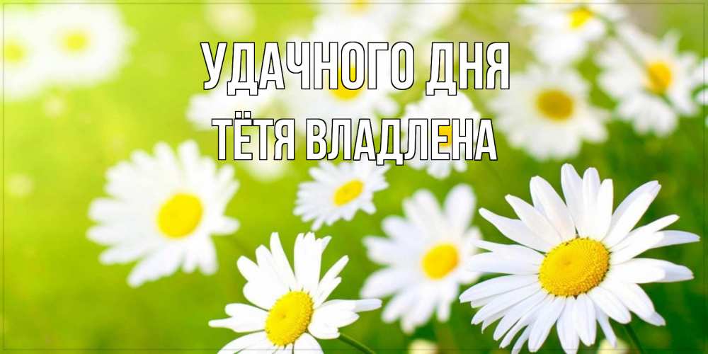 Открытка на каждый день с именем, Тётя-Владлена Удачного дня открытка с ромашками на зеленом фоне Прикольная открытка с пожеланием онлайн скачать бесплатно 