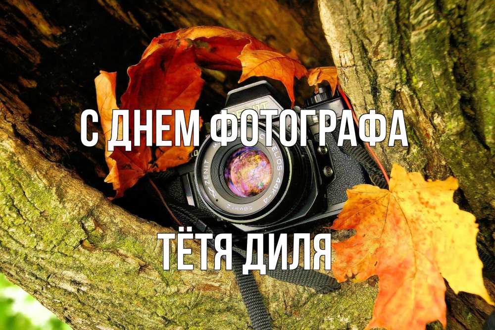 Открытка на каждый день с именем, Тётя-Диля С днем фотографа с днем фотографа 1 Прикольная открытка с пожеланием онлайн скачать бесплатно 