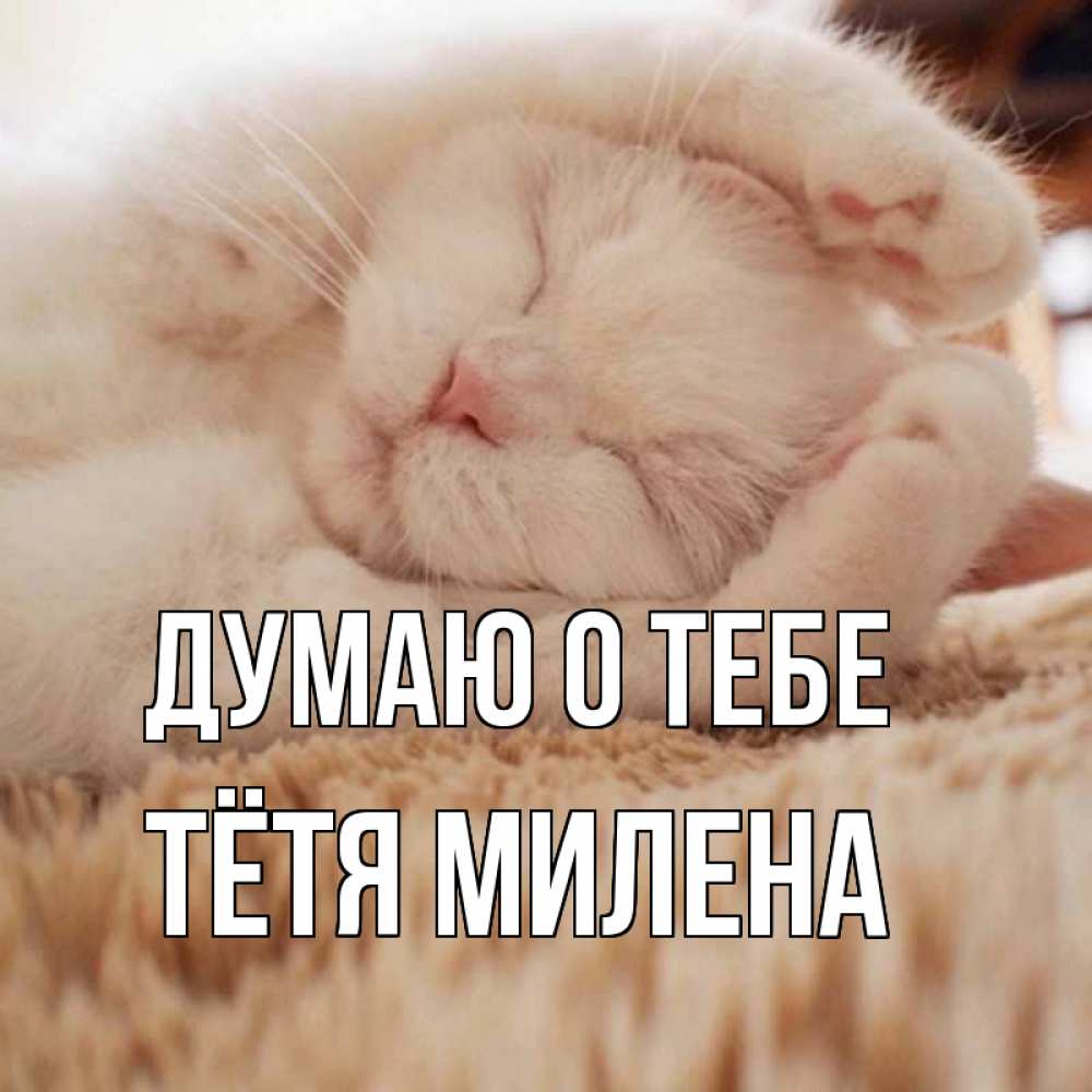 Открытка на каждый день с именем, Тётя-Милена Думаю о тебе для любимой девушки милота Прикольная открытка с пожеланием онлайн скачать бесплатно 