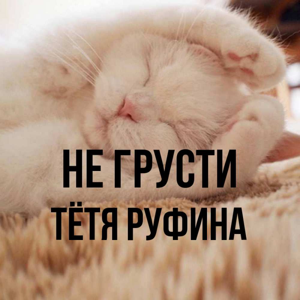 Открытка на каждый день с именем, Тётя-Руфина Не грусти Котенок спит Прикольная открытка с пожеланием онлайн скачать бесплатно 