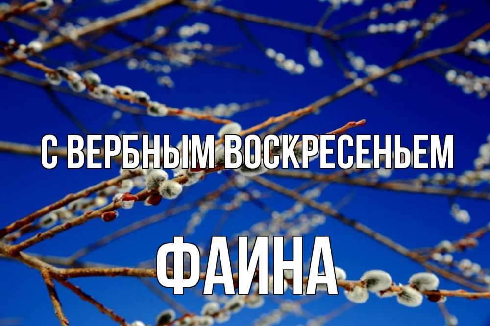 Открытка на каждый день с именем, Фаина С вербным воскресеньем верба Прикольная открытка с пожеланием онлайн скачать бесплатно 