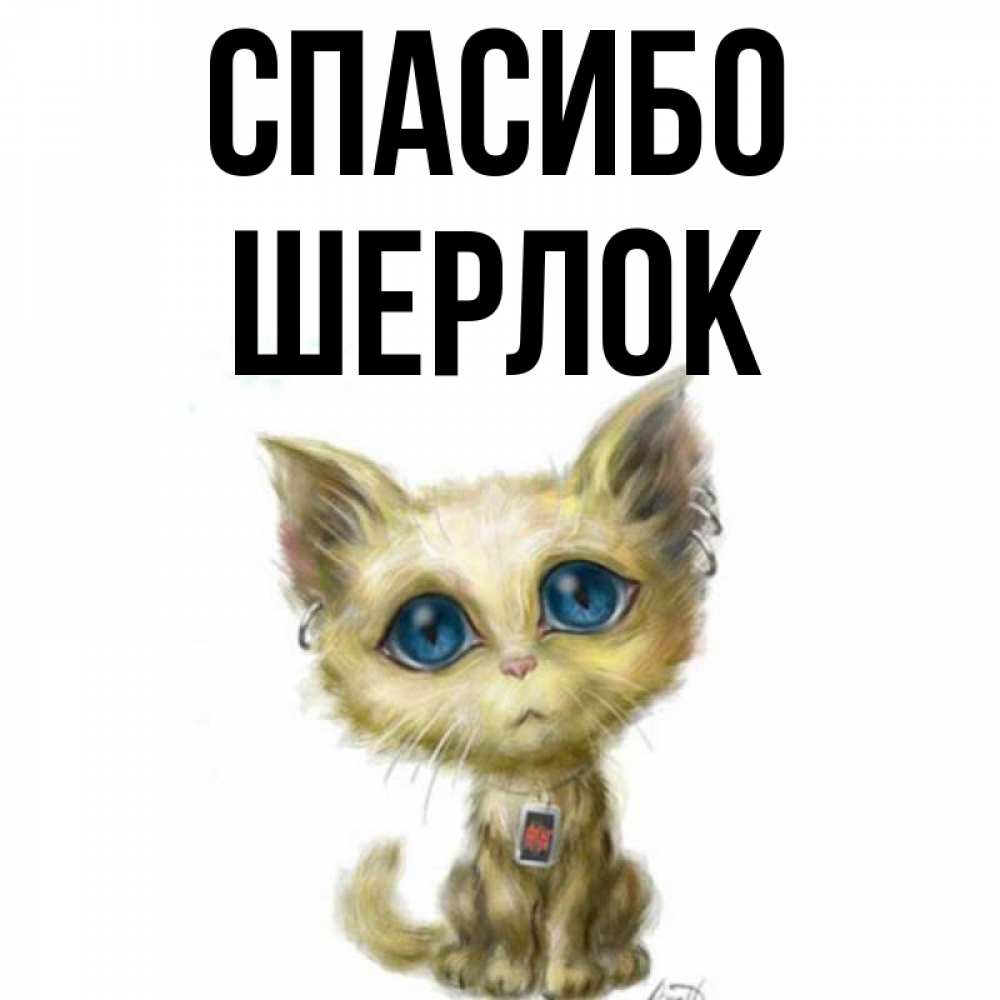 Открытка на каждый день с именем, Шерлок Спасибо рисованный кот благодарит вас Прикольная открытка с пожеланием онлайн скачать бесплатно 
