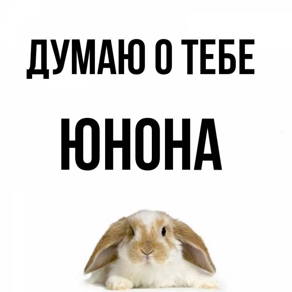Открытка на каждый день с именем, Юнона Думаю о тебе подписать своими руками онлайн Прикольная открытка с пожеланием онлайн скачать бесплатно 