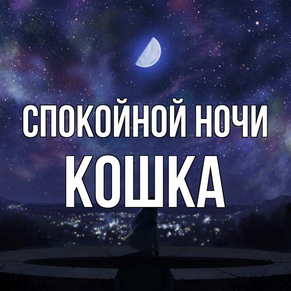 Открытка на каждый день с именем, кошка Спокойной ночи набережная Прикольная открытка с пожеланием онлайн скачать бесплатно 