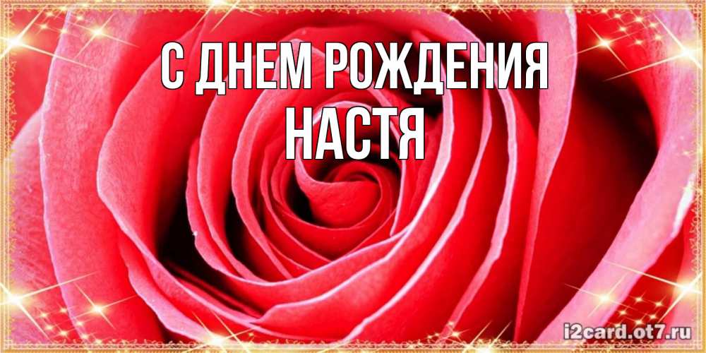 Открытка на каждый день с именем, настя С днем рождения розовая роза очень крупный бутон Прикольная открытка с пожеланием онлайн скачать бесплатно 