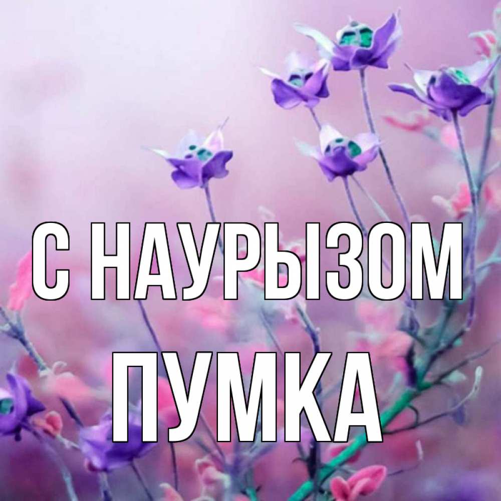 Полное имя таши. Фелиция имя. Олюшка. Олюшка ты прекрасна картинки. Цветок имени Таша.