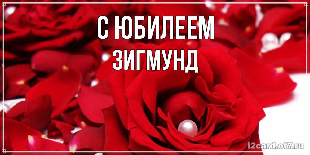 Открытка на каждый день с именем, Зигмунд С юбилеем роза с жемчужиной на открытке для любимых Прикольная открытка с пожеланием онлайн скачать бесплатно 