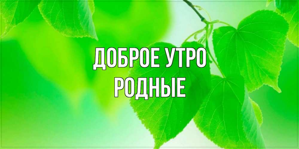 Картинка Доброе утро, Родные