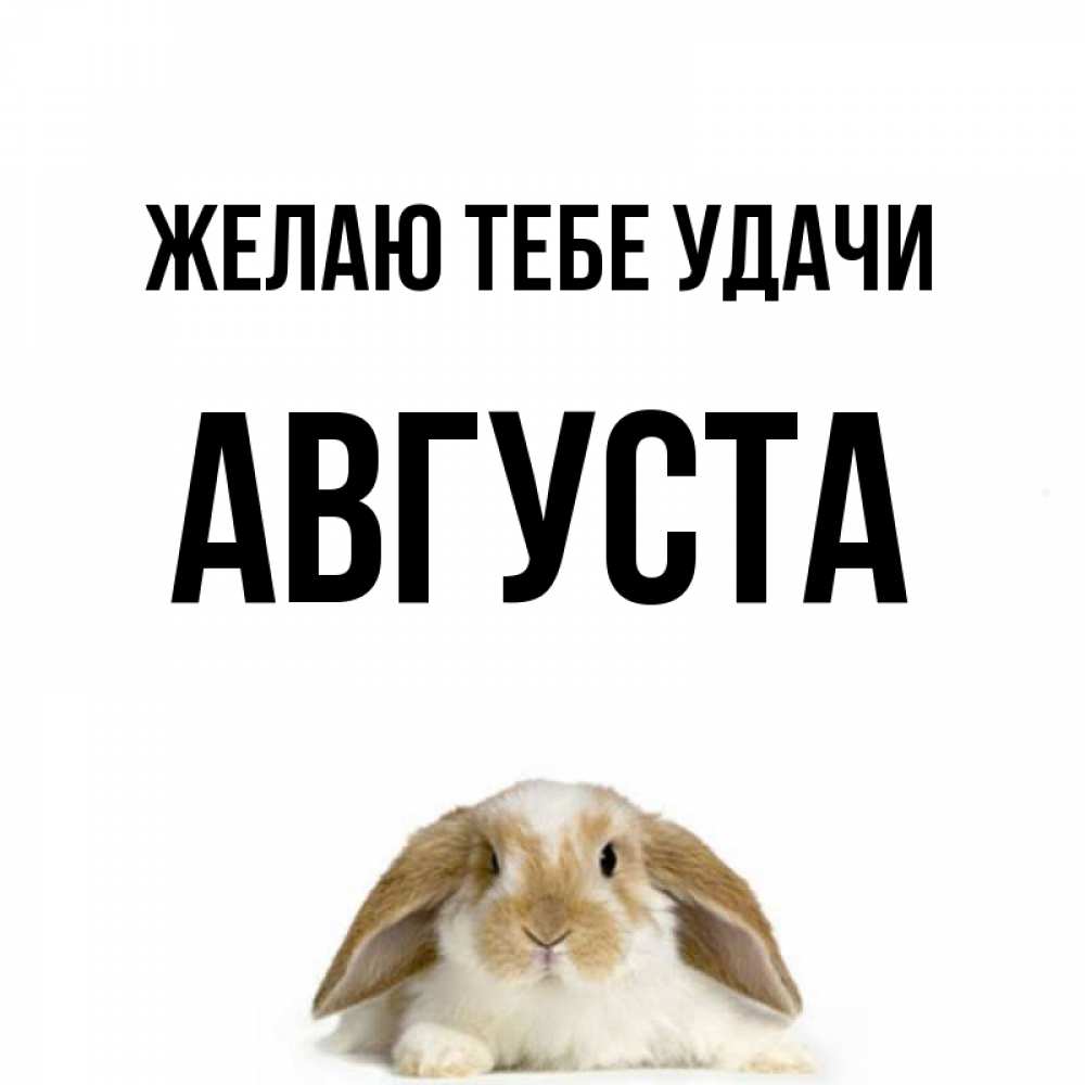 Открытка на каждый день с именем, Августа Желаю тебе удачи открытки с произвольным текстом который можно вставить в открытку и создать ее самостоятельно бесплатно онлайн Прикольная открытка с пожеланием онлайн скачать бесплатно 