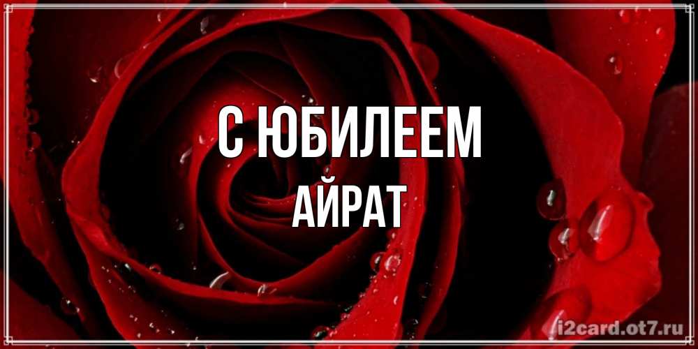 Открытка на каждый день с именем, Айрат С юбилеем крупная бордовая роза Прикольная открытка с пожеланием онлайн скачать бесплатно 