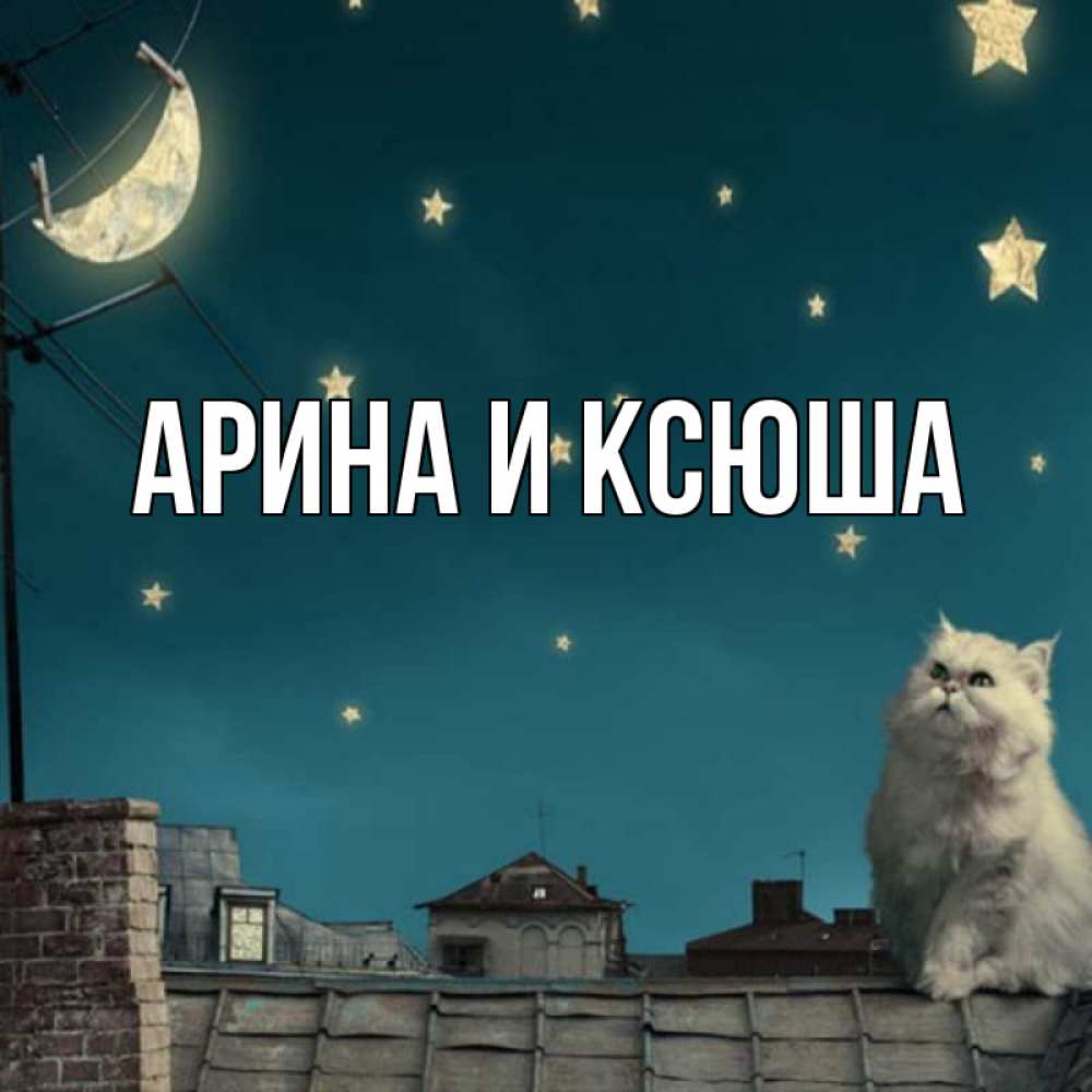 Открытка на каждый день с именем, Арина-и-Ксюша Главная белый кот сидит на крыше Прикольная открытка с пожеланием онлайн скачать бесплатно 