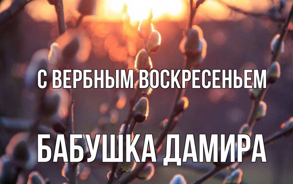 Открытка на каждый день с именем, Бабушка-Дамира С вербным воскресеньем верба Прикольная открытка с пожеланием онлайн скачать бесплатно 