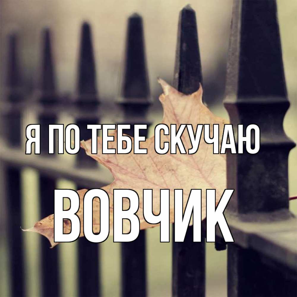 Открытка на каждый день с именем, Вовчик Я по тебе скучаю очень скучно Прикольная открытка с пожеланием онлайн скачать бесплатно 