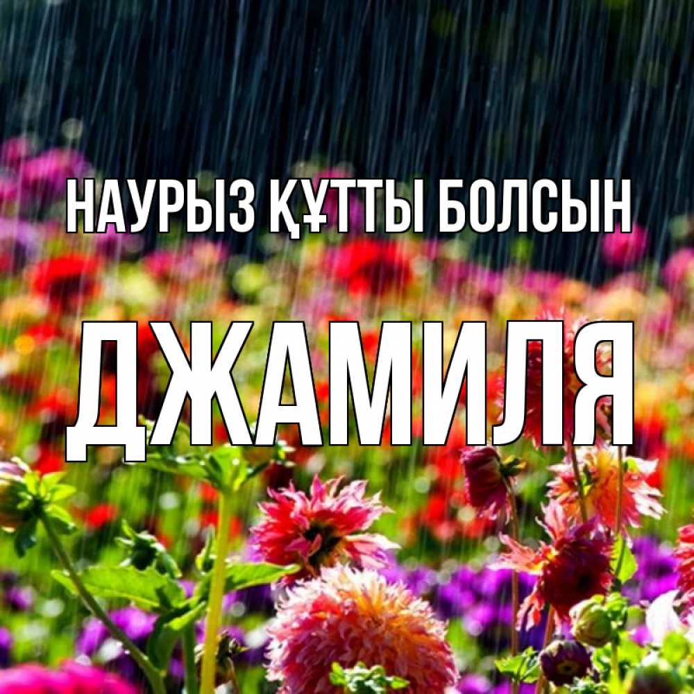 Открытка на каждый день с именем, Джамиля Наурыз құтты болсын цветы под дождиком к наурызу Прикольная открытка с пожеланием онлайн скачать бесплатно 