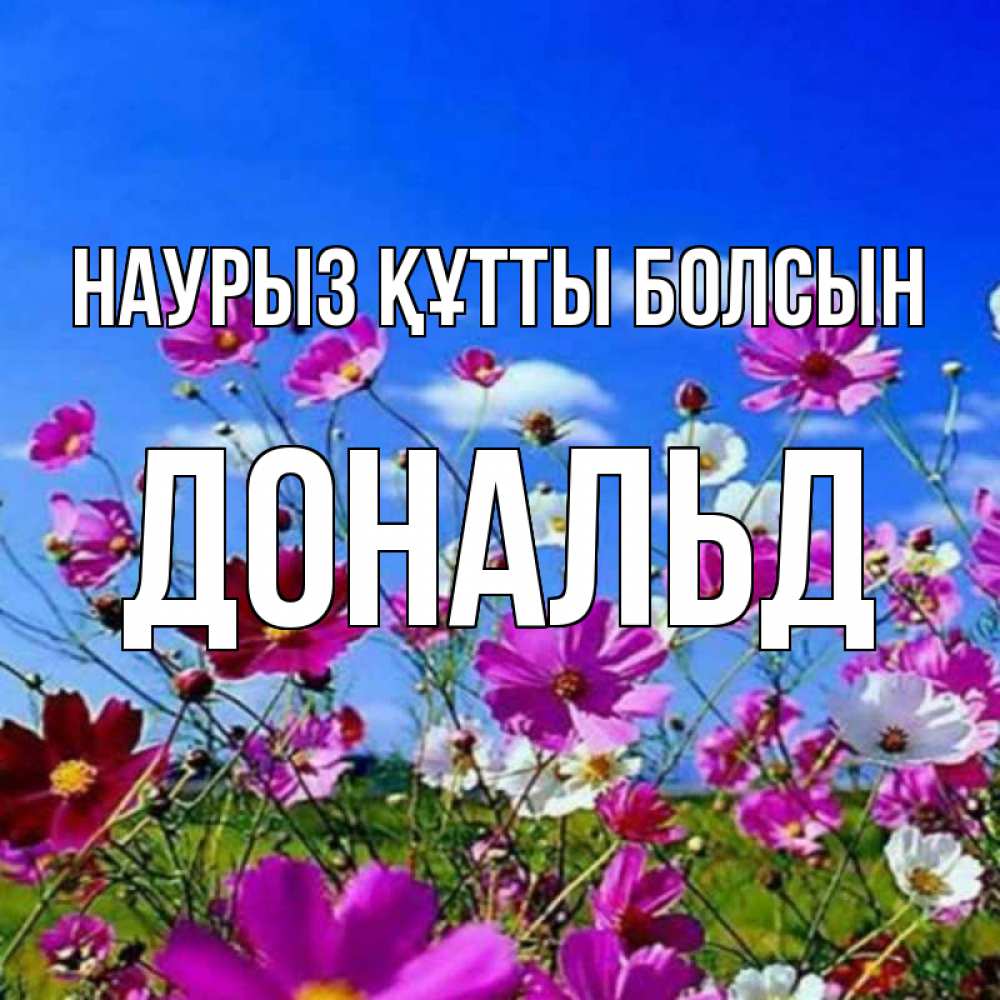 Открытка на каждый день с именем, Дональд Наурыз құтты болсын цветы Прикольная открытка с пожеланием онлайн скачать бесплатно 