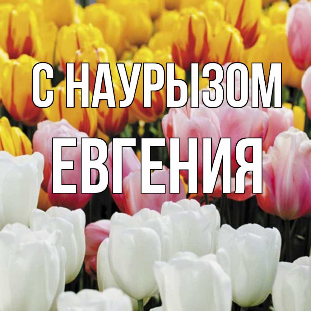Открытка на каждый день с именем, Евгения С наурызом разноцветные цветы Прикольная открытка с пожеланием онлайн скачать бесплатно 
