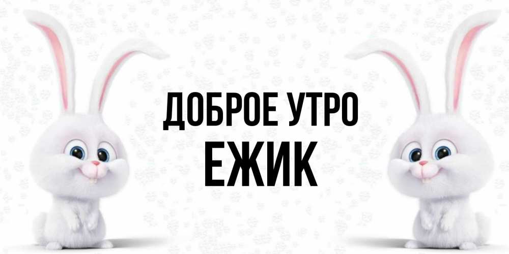Открытка на каждый день с именем, Ежик Доброе утро кролики с длинными ушками Прикольная открытка с пожеланием онлайн скачать бесплатно 