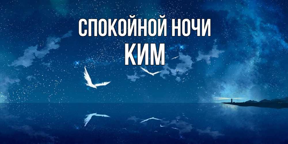Открытка на каждый день с именем, Ким Спокойной ночи птицы летят на фоне ночного неба Прикольная открытка с пожеланием онлайн скачать бесплатно 