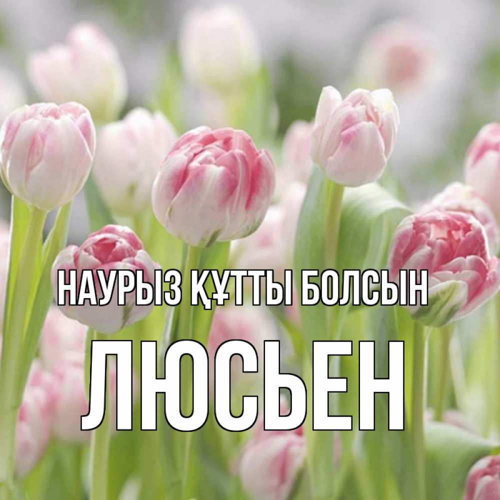 Открытка на каждый день с именем, Люсьен Наурыз құтты болсын цветы Прикольная открытка с пожеланием онлайн скачать бесплатно 