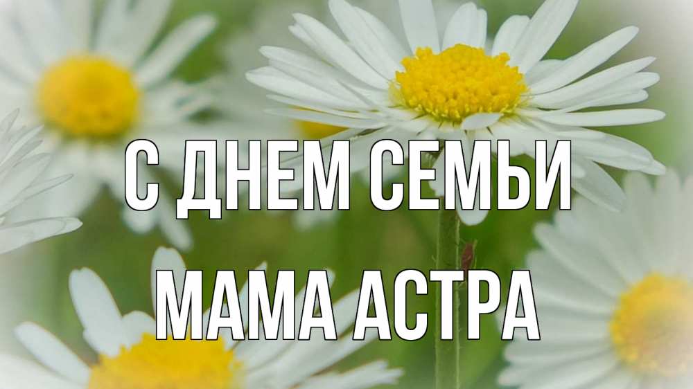 Открытка на каждый день с именем, Мама-Астра С днем семьи с днем семьи  1 Прикольная открытка с пожеланием онлайн скачать бесплатно 