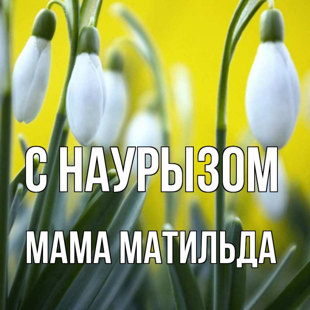 Открытка на каждый день с именем, Мама-Матильда С наурызом весенние цветы Прикольная открытка с пожеланием онлайн скачать бесплатно 