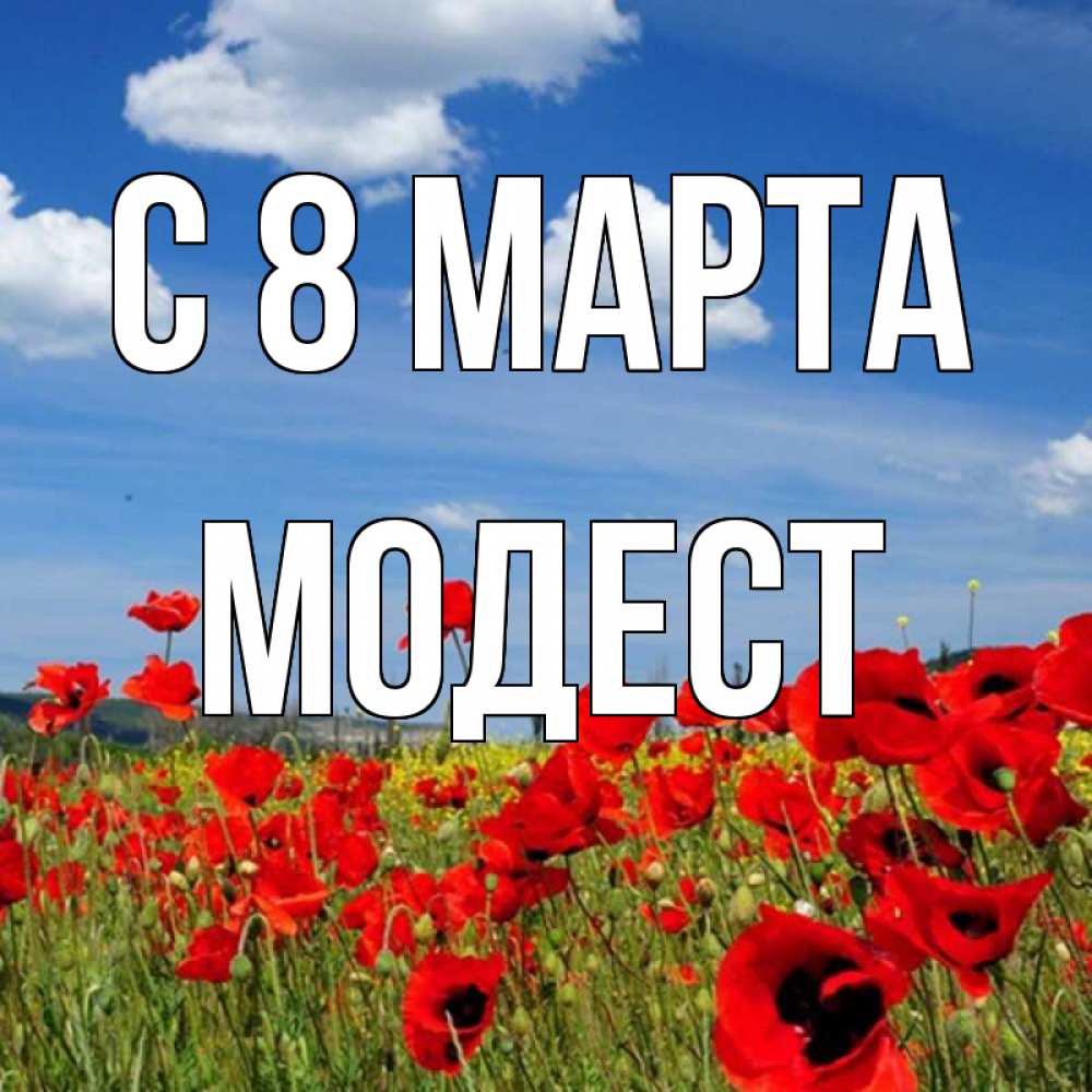 Открытка на каждый день с именем, Модест С 8 марта международный женский день 1 Прикольная открытка с пожеланием онлайн скачать бесплатно 