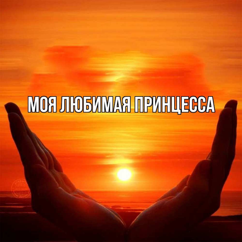 Открытка на каждый день с именем, Моя-Любимая-Принцесса Главная в руках Прикольная открытка с пожеланием онлайн скачать бесплатно 