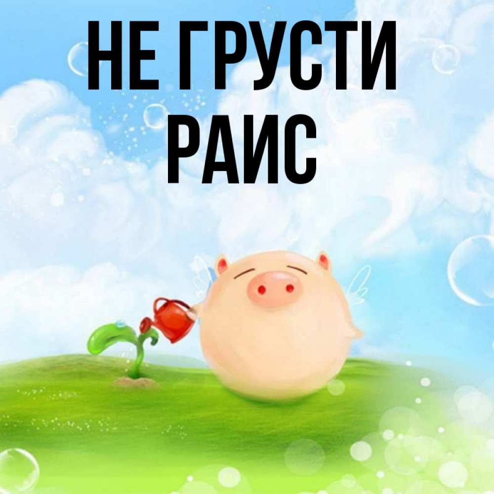 Открытка на каждый день с именем, Раис Не грусти поливает цветок порося Прикольная открытка с пожеланием онлайн скачать бесплатно 