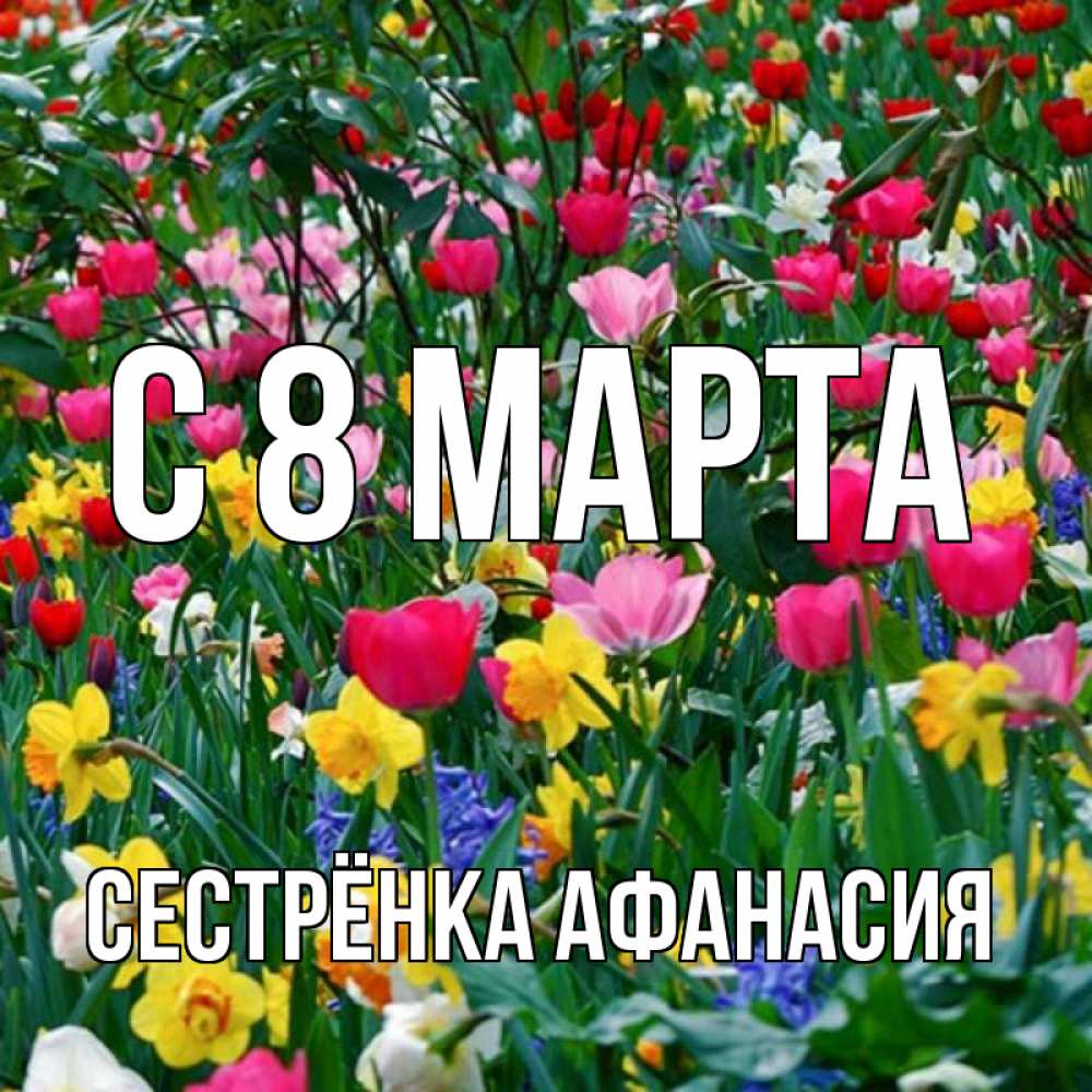 Открытка на каждый день с именем, Сестрёнка-Афанасия С 8 МАРТА с международным женским днем поздравления для женщины Прикольная открытка с пожеланием онлайн скачать бесплатно 