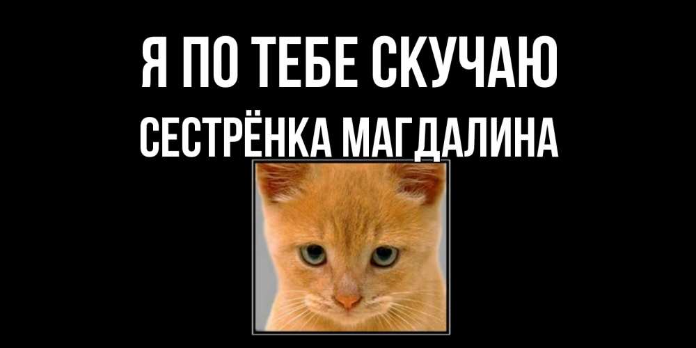 Открытка на каждый день с именем, Сестрёнка-Магдалина Я по тебе скучаю открытки рыжий котенок скучает по тебе Прикольная открытка с пожеланием онлайн скачать бесплатно 