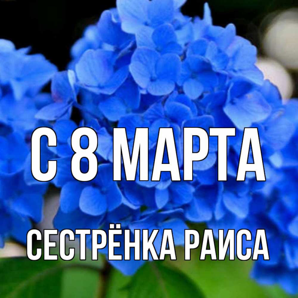 Открытка на каждый день с именем, Сестрёнка-Раиса С 8 МАРТА синие цветы Прикольная открытка с пожеланием онлайн скачать бесплатно 