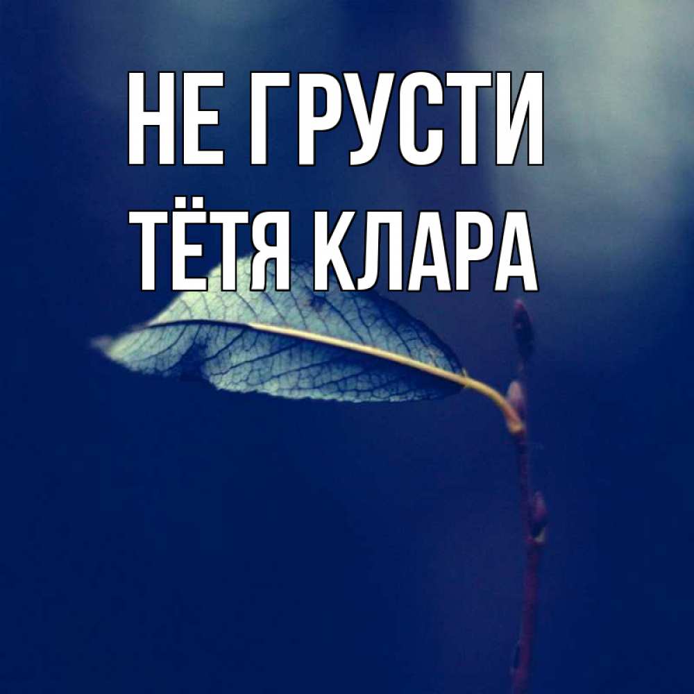 Открытка на каждый день с именем, Тётя-Клара Не грусти растение Прикольная открытка с пожеланием онлайн скачать бесплатно 