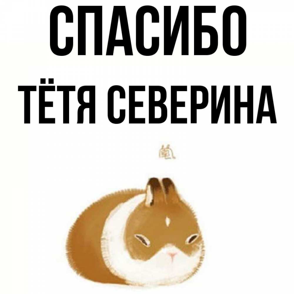 Открытка на каждый день с именем, Тётя-Северина Спасибо коричнево белый домашний питомец Прикольная открытка с пожеланием онлайн скачать бесплатно 