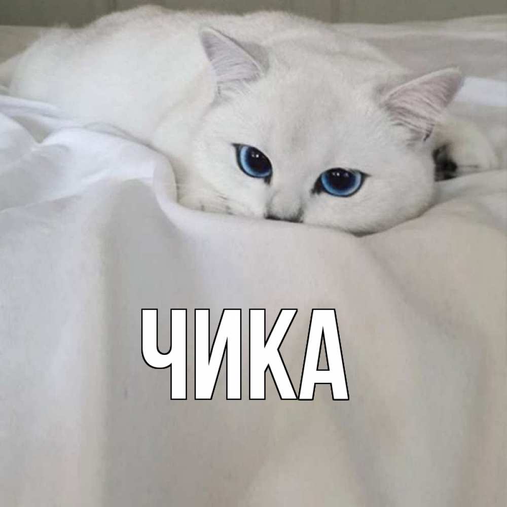 Открытка на каждый день с именем, Чика Главная я очень по тебе скучаю и тоскую Прикольная открытка с пожеланием онлайн скачать бесплатно 