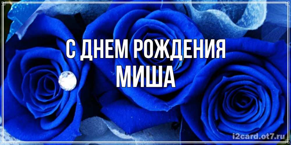 Открытка на каждый день с именем, Миша С днем рождения синие розы в росе Прикольная открытка с пожеланием онлайн скачать бесплатно 