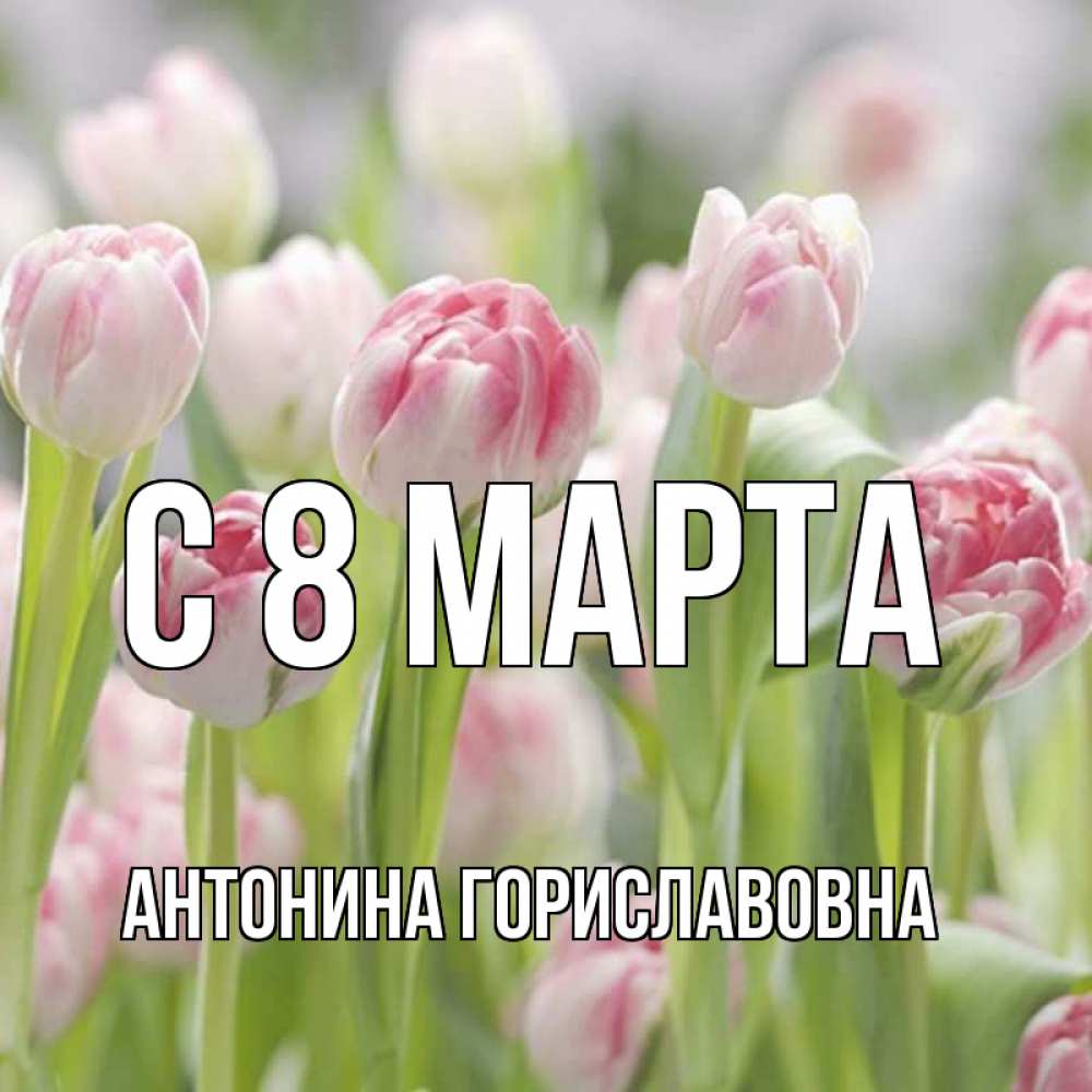 Картинка С 8 МАРТА, Антонина Гориславовна