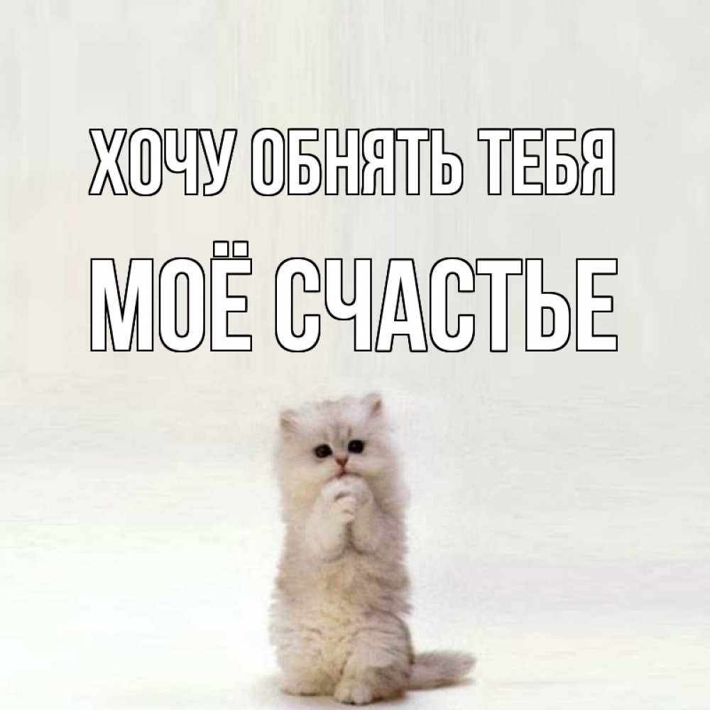 Открытка на каждый день с именем, Моё-счастье Хочу обнять тебя открытки с креативными подписями Прикольная открытка с пожеланием онлайн скачать бесплатно 