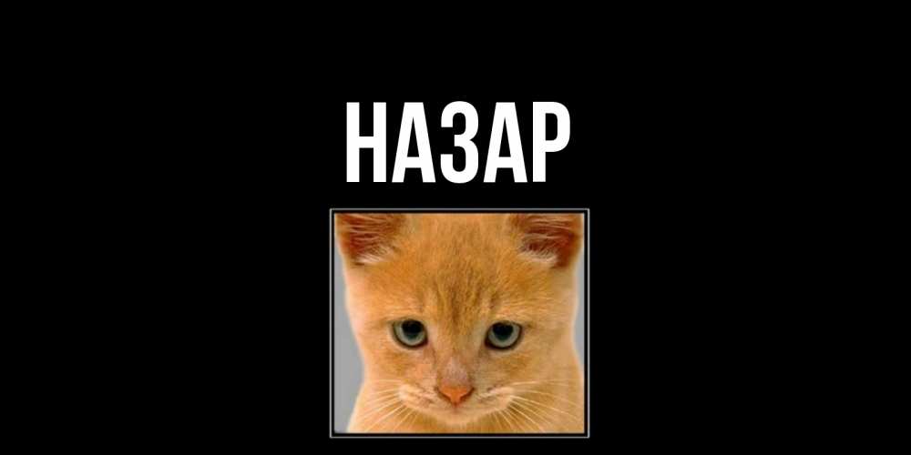 Открытка на каждый день с именем, Назар Главная открытки рыжий котенок скучает по тебе Прикольная открытка с пожеланием онлайн скачать бесплатно 