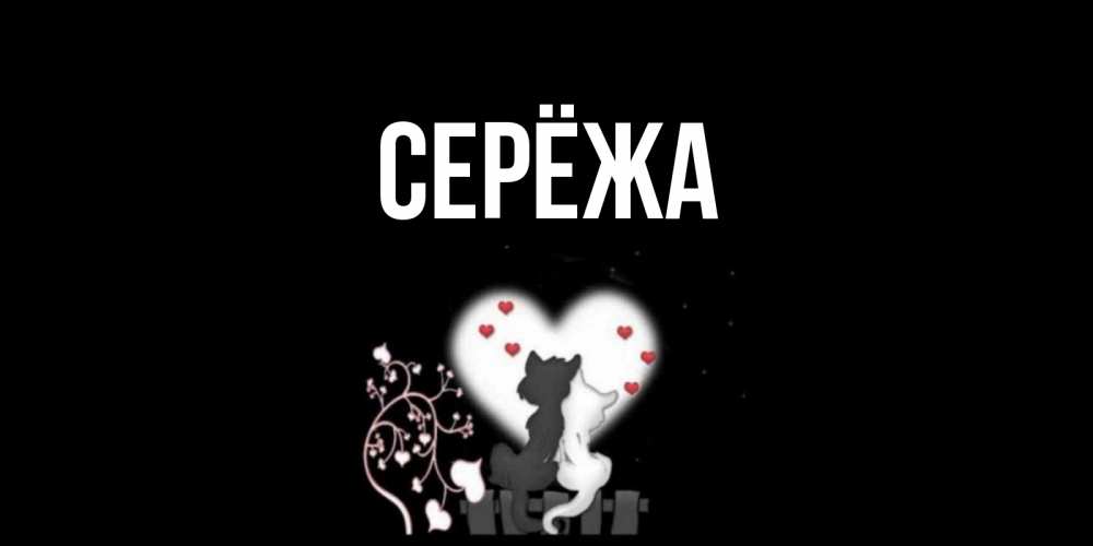 Открытка на каждый день с именем, Серёжа Главная коты Прикольная открытка с пожеланием онлайн скачать бесплатно 