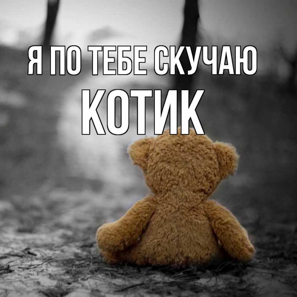 Открытка на каждый день с именем, Котик Я по тебе скучаю красивые открытки Прикольная открытка с пожеланием онлайн скачать бесплатно 