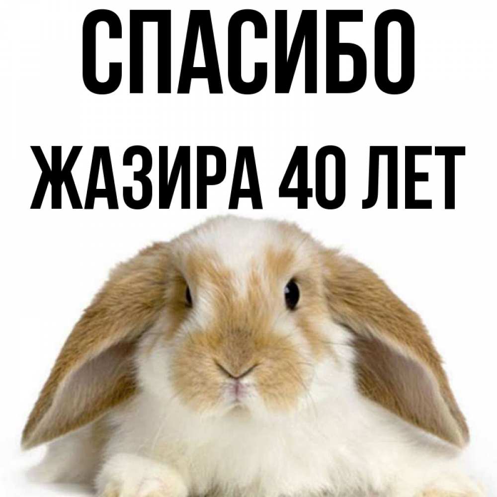 8 лет спасибо