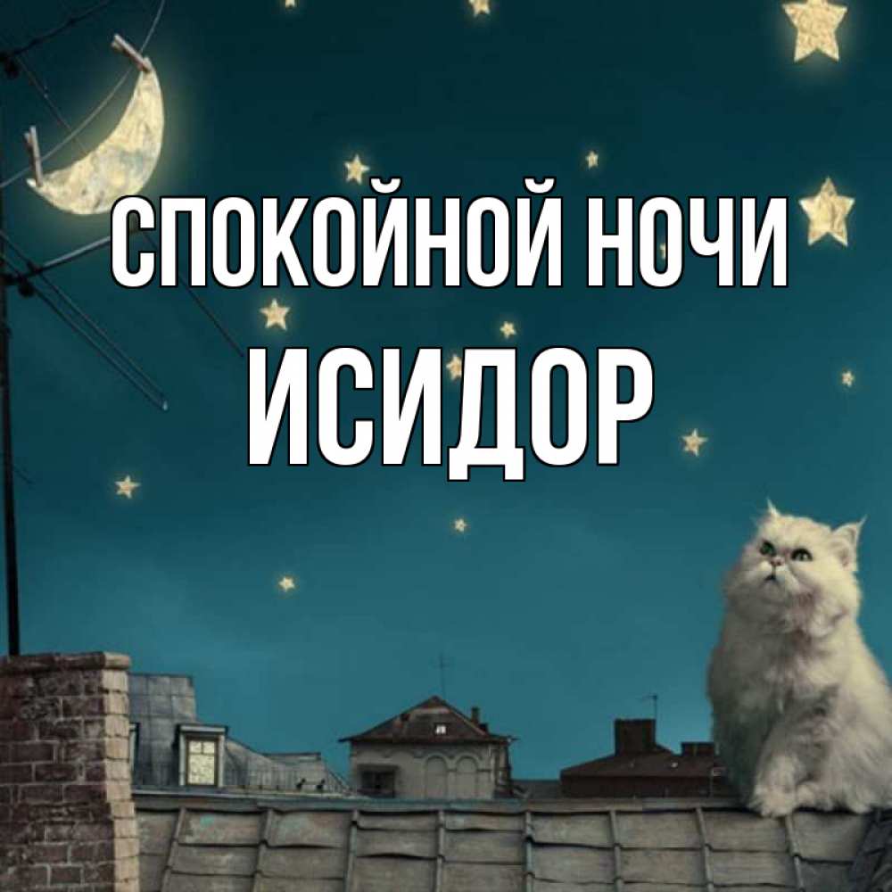 Открытка на каждый день с именем, Исидор Спокойной ночи белый кот сидит на крыше Прикольная открытка с пожеланием онлайн скачать бесплатно 