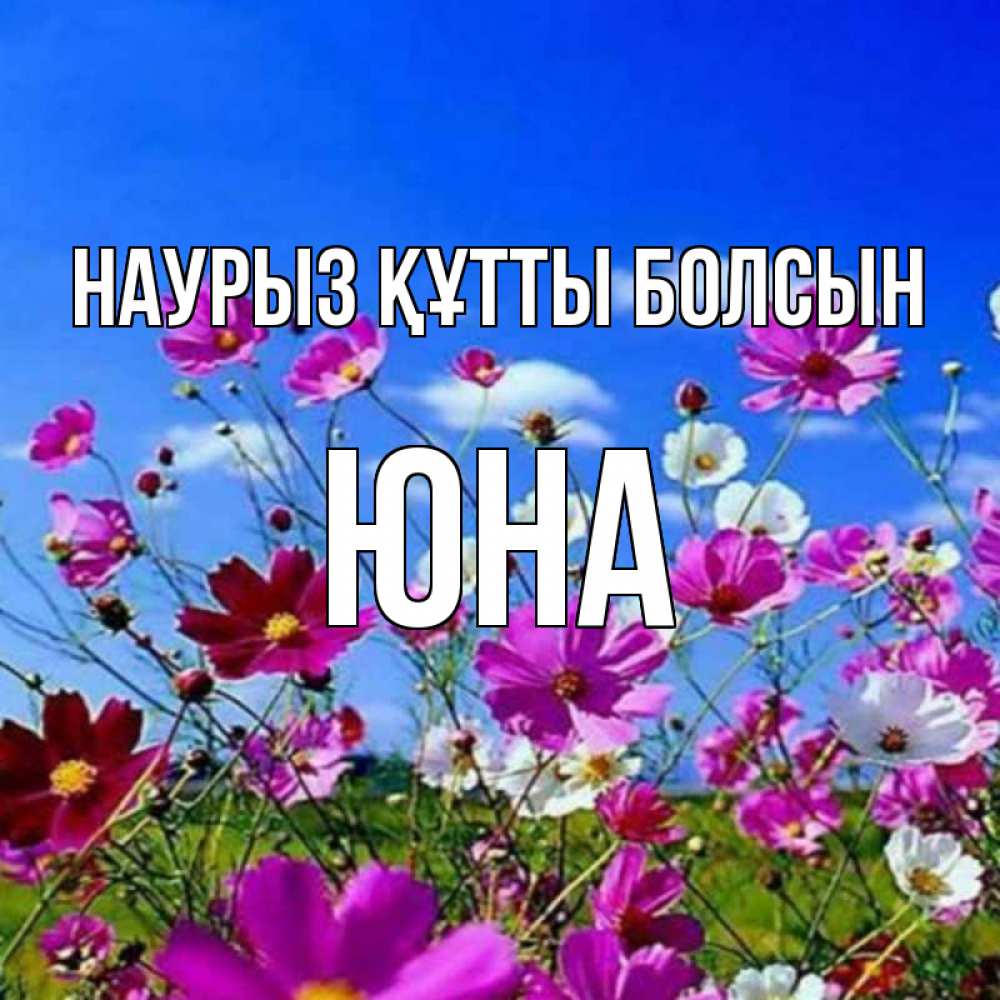 Открытка на каждый день с именем, Юна Наурыз құтты болсын цветы Прикольная открытка с пожеланием онлайн скачать бесплатно 